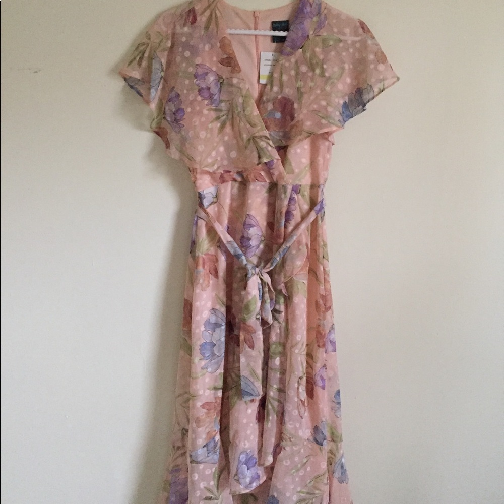 NWT Gabby Skye Chiffon floral dress Size 4